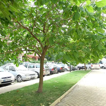 Apartment Grand Kamelia *